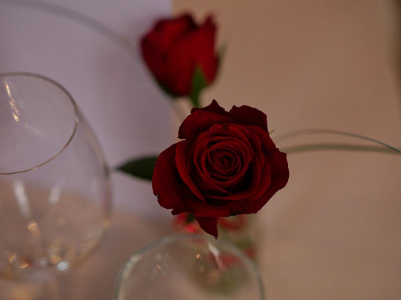 Rose auf dem Tisch